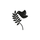 Make A Wish Black - Dove & Olive Branch Acrylic Cupcake Topper