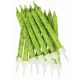 Anniversary House - Lime Green Glitter Candles x 12
