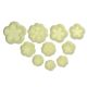 JEM Floral Cutters - Small Daisy/Blossom & Primula Set of 10