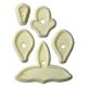 JEM Floral Cutters - Singapore Orchid Set of 5