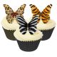 CDA Products Mixed Animal Design Edible Butterfly Toppers x 12