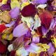 Dried Mixed Edible Flowers