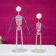 Fast Figure Mould Set – Small & Large – Molly Robbins