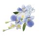 Gumpaste Orchid Spray Lavender 4.75