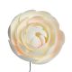 Gumpaste Ranunculus Flowers 55mm