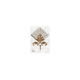 Damask Scrolls Silicone Icing mould