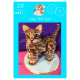 Molly Robbins Coco The Cat Cake Tutorial