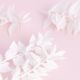 Dried Flower Box – Ruscus (White) – The Baked Studio