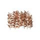 Dried Flower Box – Ruscus (Gold) – The Baked Studio