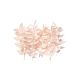 Dried Flower Box – Ruscus (Light Pink) – The Baked Studio