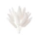 Dried Flower Box – Lagarus (Bunny Tails, White) – The Baked Studio