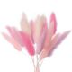 Dried Flower Box – Lagarus (Bunny Tails, Pink/White/Lilac) – The Baked Studio
