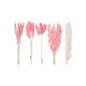 Dried Flower Box – Mixed Box (Hot Pink) – The Baked Studio