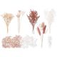 Dried Flower Box – Deluxe Mixed Box (Natural, Latte, Nude & White) – The Baked Studio