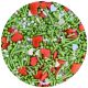 Purple Cupcakes Shimmer Mistletoe Kisses Sprinkle Mix (V) - 90g