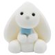 Bunny Boy Edible Cake Topper
