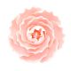Gumpaste Briar Rose Pink - 76mm (3