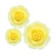 Ombre Yellow Sugar Soft Roses - Mixed Pack of 38mm, 50mm, 63mm - Boxed 12