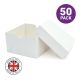 Cake Box with Lid - White (10