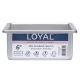 LOYAL 6