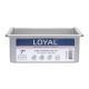 LOYAL 7