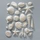 Gumpaste Sea Shells 23 piece