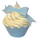 Waferdec Cda Blue Bow Kit To Make 10