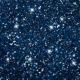 Edible Glitter Navy Blue LSE 5g