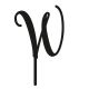 Make A Wish Black - Letter W Acrylic Cake Topper