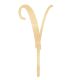 Make A Wish Birch Effect - Letter V Wooden Cake Topper