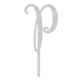 Make A Wish Silver Glitter - Letter P Acrylic Cake Topper