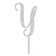Make A Wish Silver Glitter - Letter Y Acrylic Cake Topper