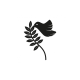 Make A Wish Black - Dove And Olive Branch Acrylic Cake Topper