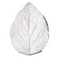 Great Impressions Leaf Veiner Niger Medium 7.0cm