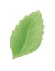 Small Wafer Rose Leaf 40mm - Pack of 1000