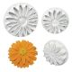 Floral Plunger Cutters - S/M/L Veined Sunflower Daisy Gerbera Set of 3