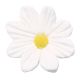 Sugar Daisy - White 20mm - Pack of 500