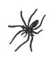 Spider Rings - Pack of 144