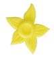 Moulded Sugar Daffodil - Pack of 180